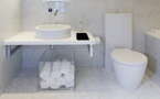 toilet